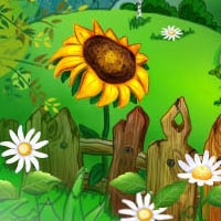 Иллюстрация подсолнух
